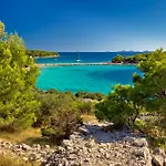 In 7702 Vodice